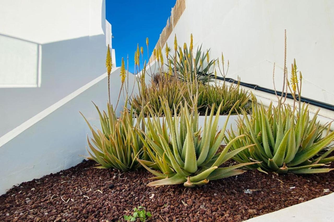 Tenerife.365 Atalaya Court II Sunset Ocean View Адехе Екстериор снимка