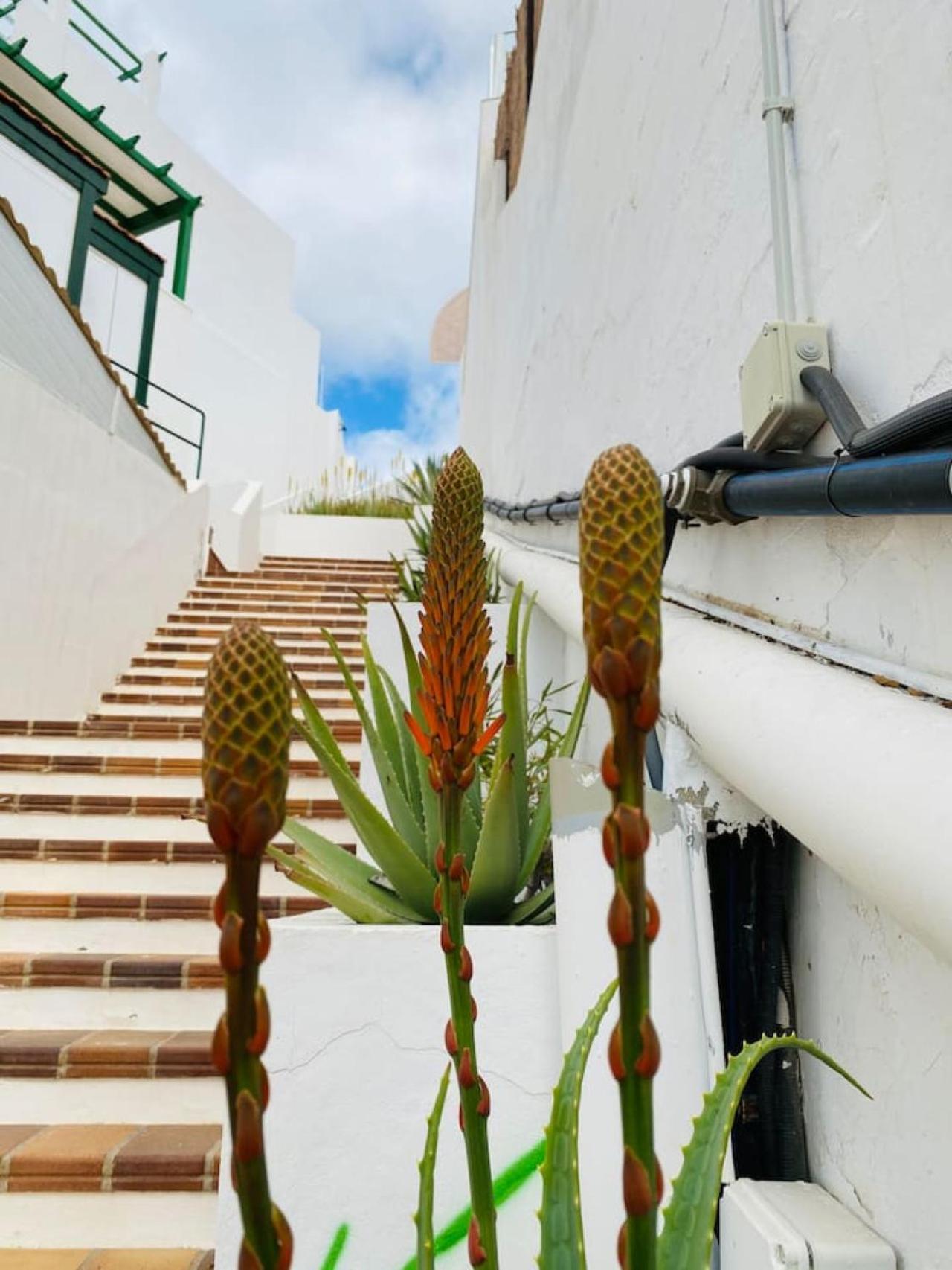 Tenerife.365 Atalaya Court II Sunset Ocean View Адехе Екстериор снимка